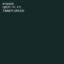 #152929 - Timber Green Color Image
